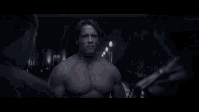 Arnold Terminator GIF