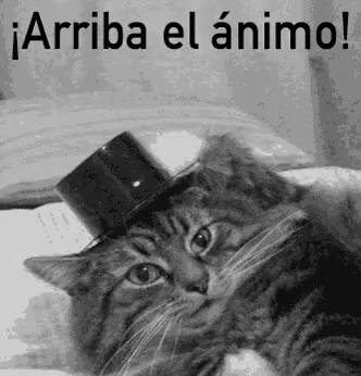 Arriba El Animo GIF