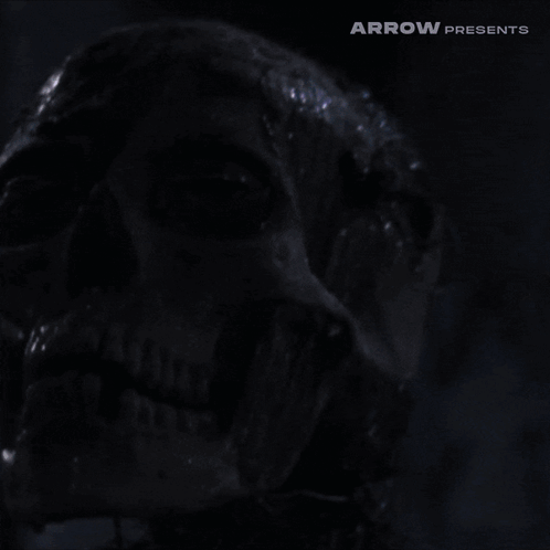 Arrow Arrow Video GIF