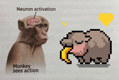 Art Banana GIF