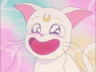 Artemis Sailor Moon GIF