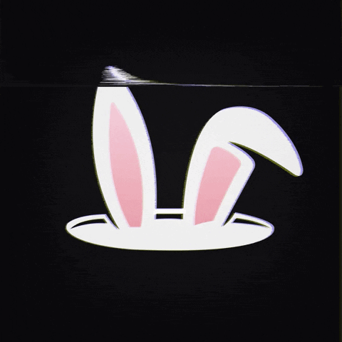 Articles Chase The Rabbit Hole GIF