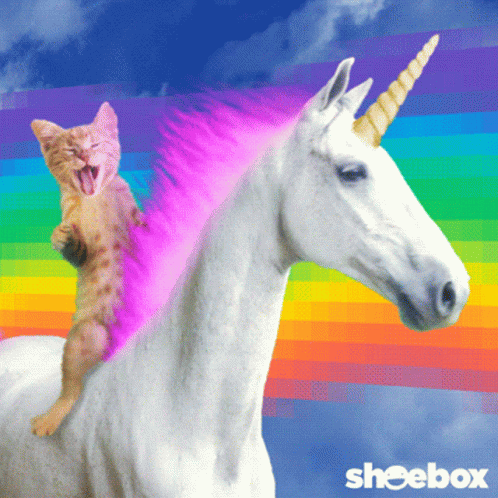 Asdf GIF