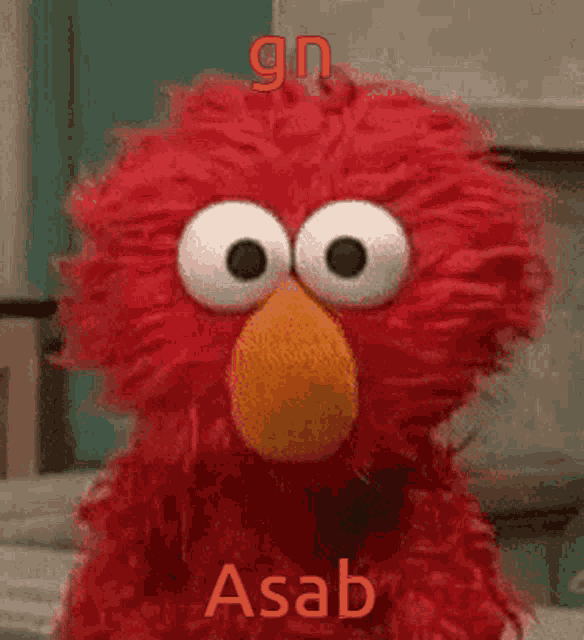 Aseal GIF