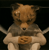 Ash Ash Fox GIF