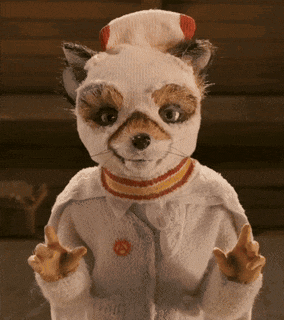 Ash Ash Fox GIF