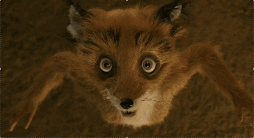 Ash Ashton Fox GIF