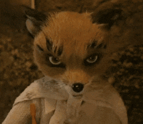 Ash Fox Fantastic Mr Fox GIF
