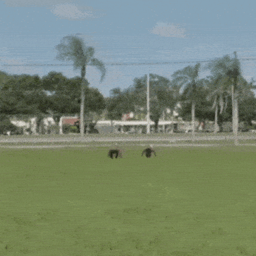 Ashton Hall Ashton Falls GIF