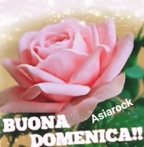Asiarock Buona Domenica GIF
