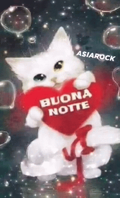 Asiarock Cat GIF