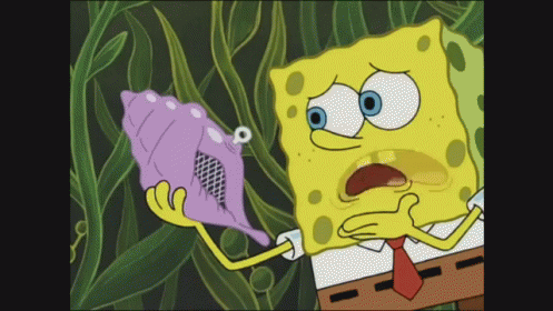 Ask The Magic Conch GIF