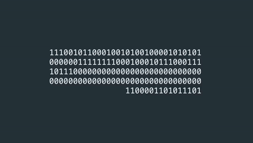 Assembly Coding GIF