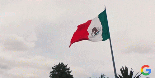 Asta Bandera GIF