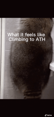 Ath Gmmm GIF