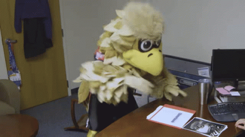 Atlanta Falcons Freddie Falcon GIF