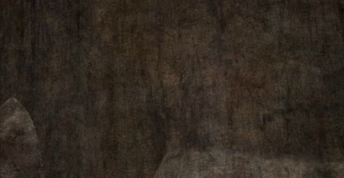 Attack Ty Rux GIF. This 498 x 258 animated GIF is part of our lighten up francis collection. Related themes include fighting. Created by Dinotrux. View the…