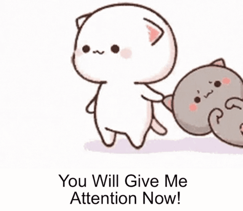 Attention Give Me Attention GIF