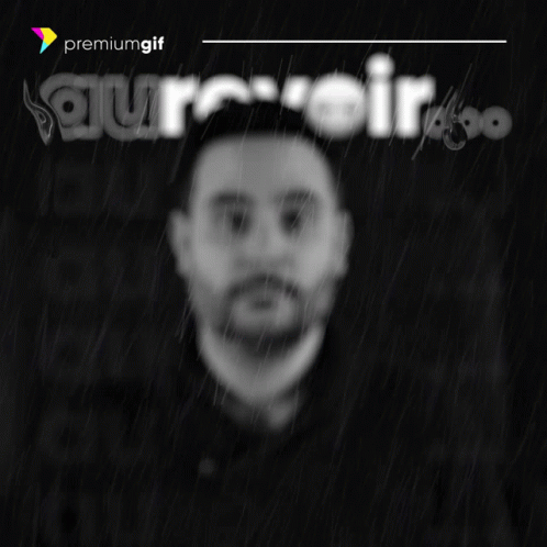 Au Revoir Bye GIF