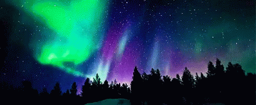 Aurora Northern Lights GIF. This 498 x 205 animated GIF is part of our peter north collection. View the original animation, share it, or browse related GIFs.