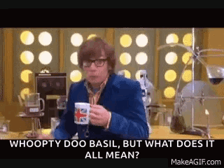 Austin Powers Comedy GIF