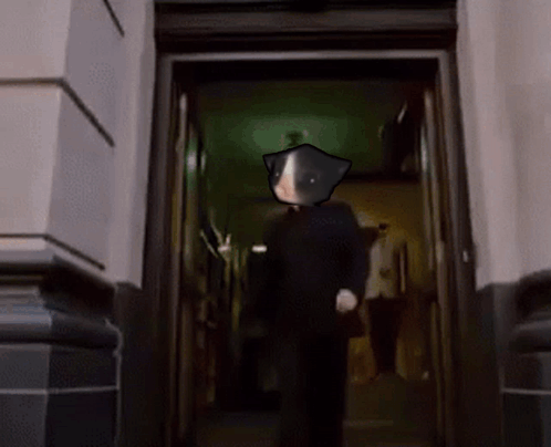 Autista Cat Meme Spinning Cat GIF. This 498 x 404 animated GIF is part of our spiderman dancing collection. Related themes include cat meme, spider man…