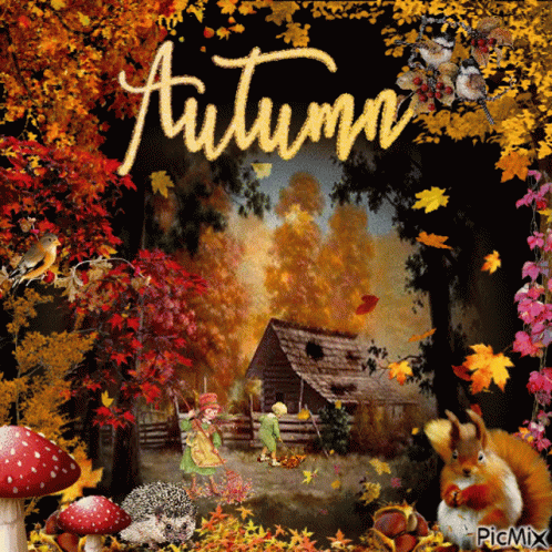 Autumn Fall GIF. This 498 x 498 animated GIF is part of our folhas de outono caindo collection. Related themes include autumn, fall. Created by…
