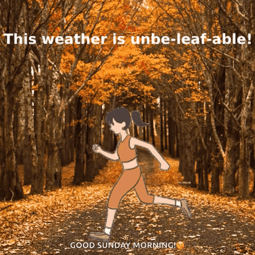 Autumn Fall GIF. This 498 x 498 animated GIF is part of our folhas de outono caindo collection. Related themes include autumn, fall. Created by Lindago…