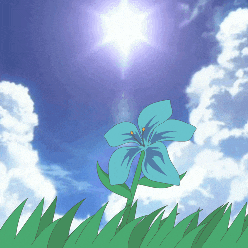 Autumn Flower Autmn GIF