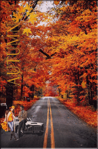 Autumn GIF. This 328 x 498 animated GIF is part of our folhas de outono caindo collection. Related themes include autumn. Created by fodorne2010. View the…