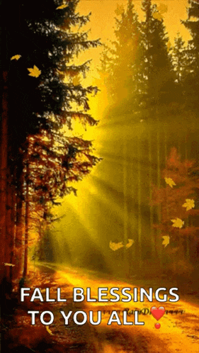 Autumn Leaves Falling Leaves GIF