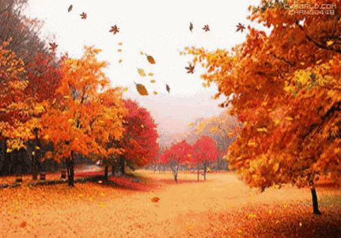 Autumn Leaves GIF. This 498 x 348 animated GIF is part of our folhas de outono caindo collection. Related themes include autumn. Created by…