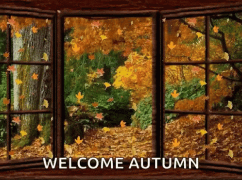 Autumn Leaves GIF