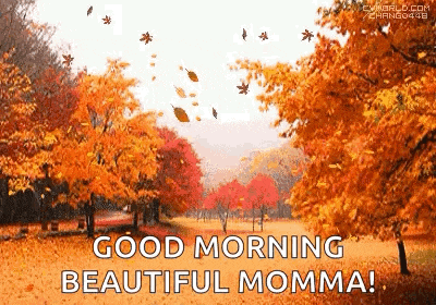 Autumn Leaves GIF