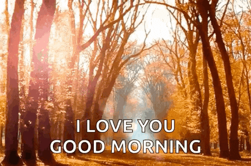 Autumn GIF