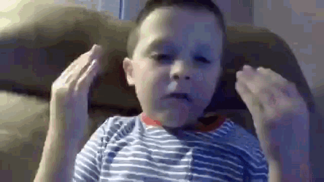 Avellom GIF