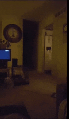 Averageanatomy Tonio GIF