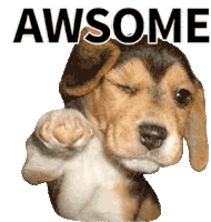 Awesome Wink Sticker