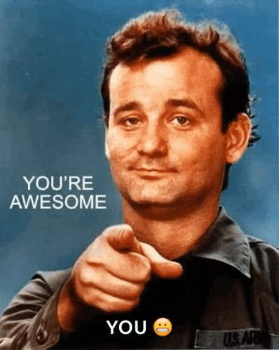 Awesome Youre Awesome GIF