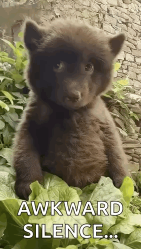 Awkward Awkward Meme GIF