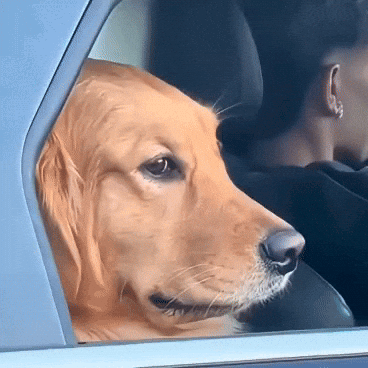 Awkward Awkward Smile GIF