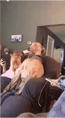 Awkward Shocked GIF