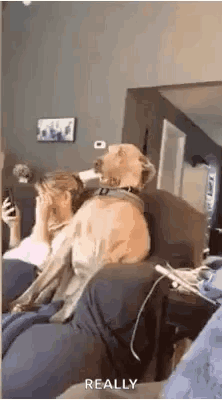 Awkward Shocked GIF