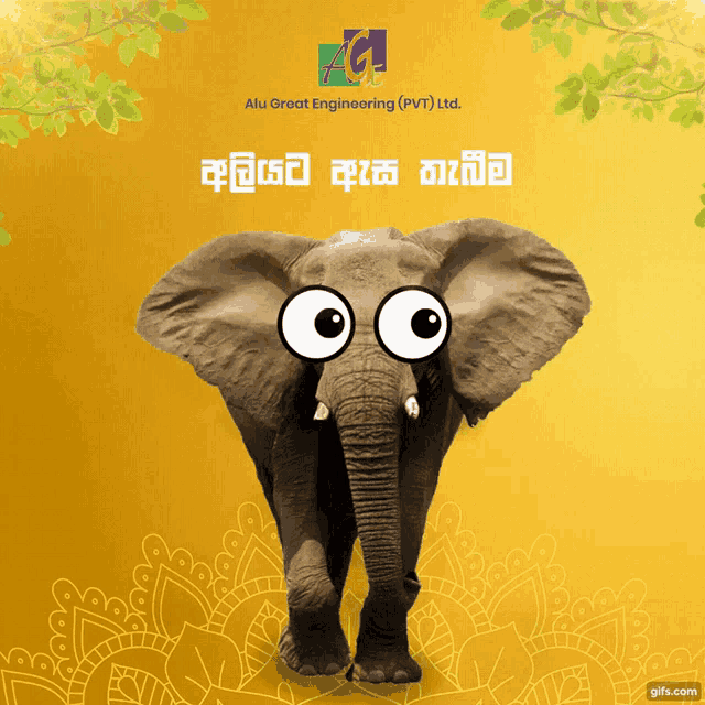Awurudu Avurudu GIF