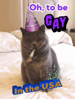 Aww Cute Aww Yeah GIF