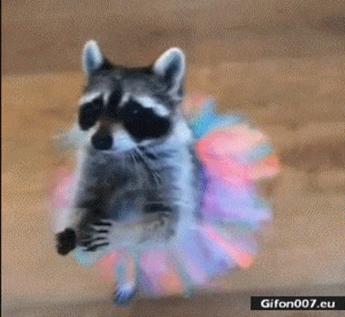 Aww Cute GIF