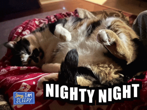 Aww Shucks Aww So Cute GIF