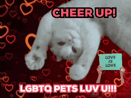 Aww Yeah Aww Cute GIF