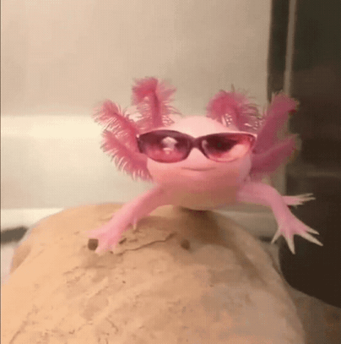 Axoloti Ez GIF