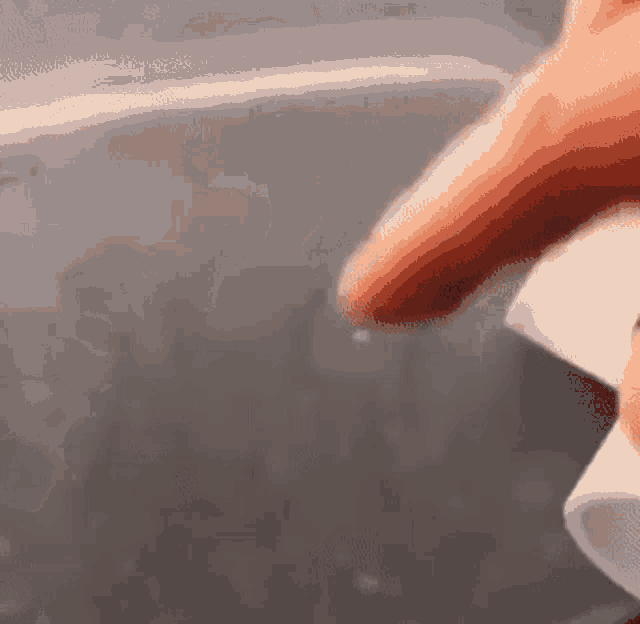 Axolotl Baby GIF